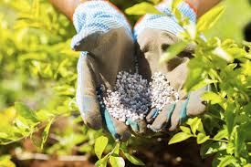 Guide on Calculating the Rate of Fertilizer to Be Applied