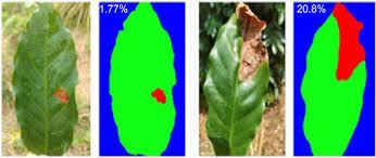 Determination Of Disease Incidence and Severity In Agricultural Crops Determination Of Disease Incidence and Severity In Agricultural Crops