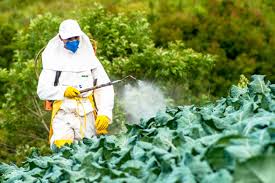 Safety Precautions and First Aid Demonstration in Pesticide Poisoning in Agriculture
