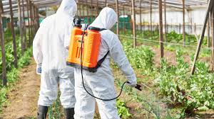 Safety Precautions and First Aid Demonstration in Pesticide Poisoning in Agriculture Safety Precautions and First Aid Demonstration in Pesticide Poisoning in Agriculture