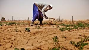 Food Security, Poverty and Famine in Agriculture