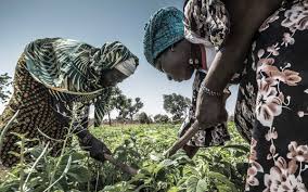 Food Security, Poverty and Famine in Agriculture Food Security, Poverty and Famine in Agriculture