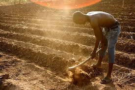 Food Security, Poverty and Famine in Agriculture Food Security, Poverty and Famine in Agriculture
