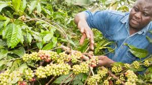 Concept of Sustainable Livelihood in Agriculture Concept of Sustainable Livelihood in Agriculture