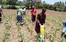 Concept of Sustainable Livelihood in Agriculture Concept of Sustainable Livelihood in Agriculture