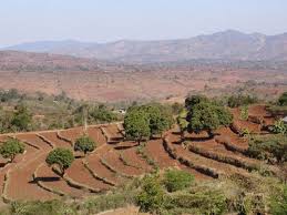 Agronomic Measures to Control Soil Erosion