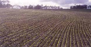Tillage Practices: Definition, Purpose and Types Tillage Practices: Definition, Purpose and Types