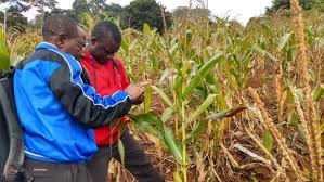 Pests and their Impact on Agricultural Systems Pests and their Impact on Agricultural Systems