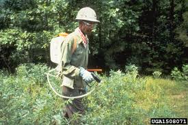 Forestry Pest Management in Agricultural Ecosystems