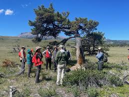 Forestry Pest Management in Agricultural Ecosystems Forestry Pest Management in Agricultural Ecosystems