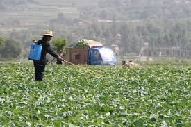 General Methods of Pest Control in Agricultural Systems