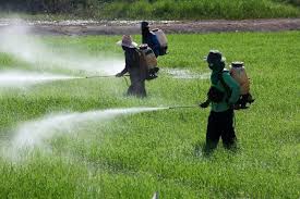 General Methods of Pest Control in Agricultural Systems General Methods of Pest Control in Agricultural Systems