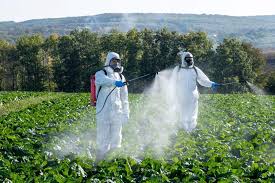 Integrated Pest Management and Outbreak Strategies in Agriculture Integrated Pest Management and Outbreak Strategies in Agriculture