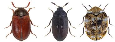 Methods for Controlling Specific Pests in Agricultural Systems Methods for Controlling Specific Pests in Agricultural Systems