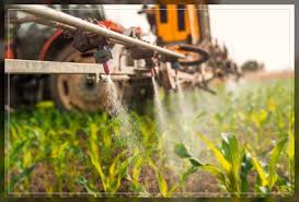 Economic Damage and Supply Factors in Agricultural Pest Management Economic Damage and Supply Factors in Agricultural Pest Management