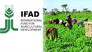 Global Efforts in Agricultural Food and Nutrition Security Global Efforts in Agricultural Food and Nutrition Security
