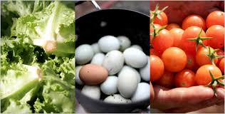 Understanding and Preventing Food Poisoning Understanding and Preventing Food Poisoning