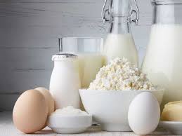 Eggs and Dairy Products: Production, Nutritional Value, Storage, and Uses