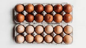 Eggs and Dairy Products: Production, Nutritional Value, Storage, and Uses Eggs and Dairy Products: Production, Nutritional Value, Storage, and Uses