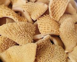 Health Benefits and Uses of Shaki Meat