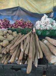 Valeurs médicinales de Racine de Bardane