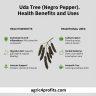 Uda Tree Health Benefits and Uses of Uda Tree (Negro Pepper) - Agric4Profits