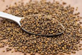 Avantages pour la santé et les Utilisations des Graines de Moutarde