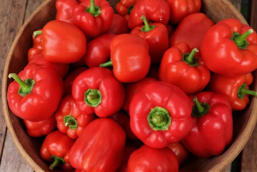 Avantages pour la santé et Utilisations du Cameroun Poivre