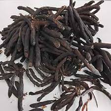 Avantages pour la santé et les Usages de l'Uda Plante