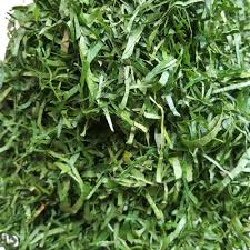 Health Benefits of Gnetum Africanum 