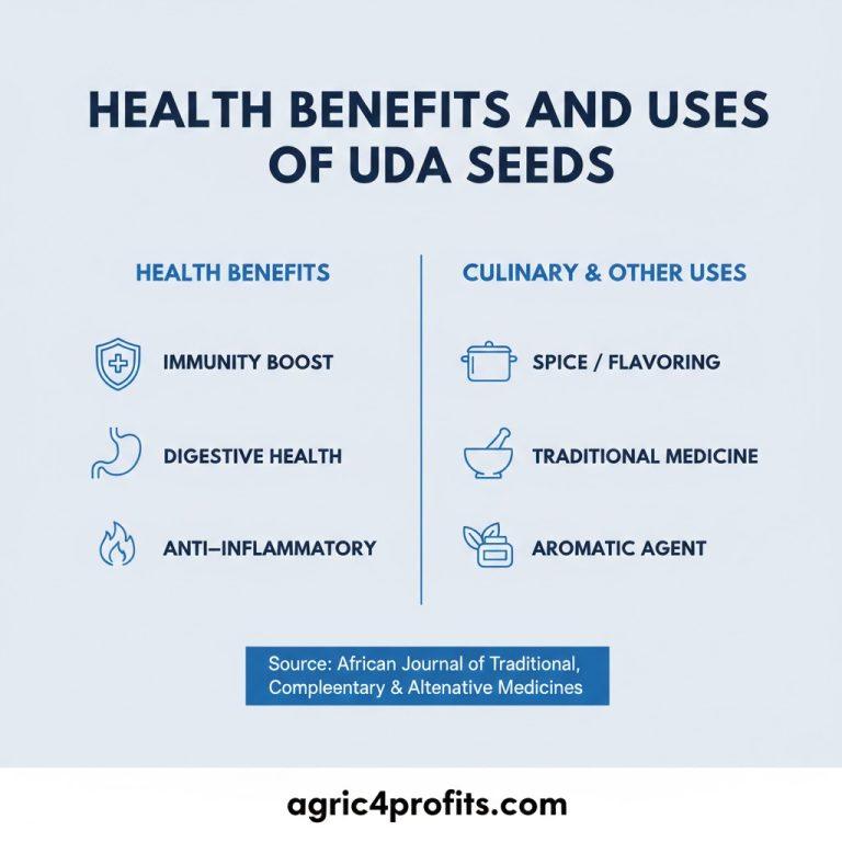 Uda Tree Health Benefits and Uses of Uda Seeds - Agric4Profits