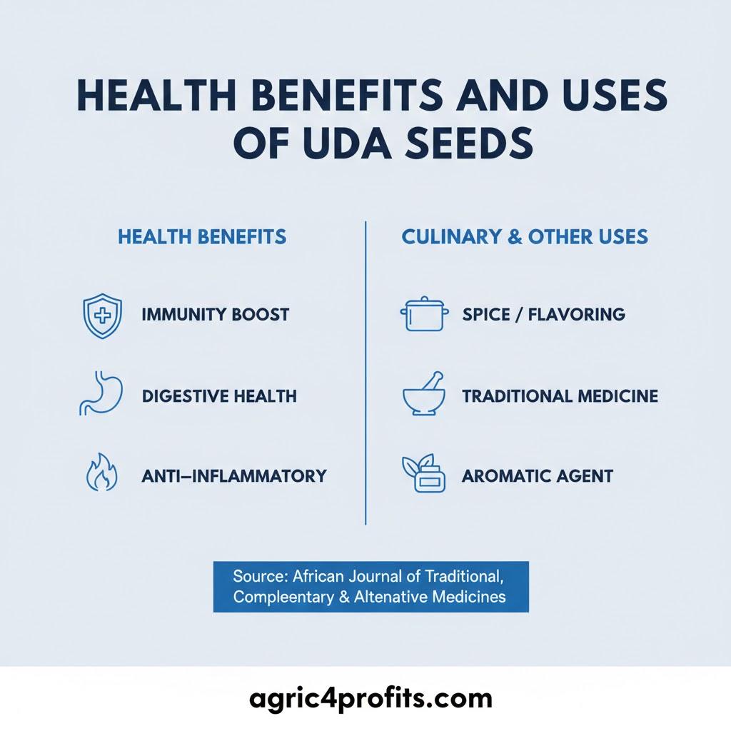 Avantages pour la santé et les Usages de l'Uda Graines