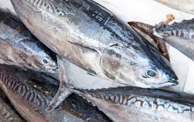 Avantages pour la santé et les Usages de Thon
