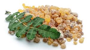 Raisons de Boswellia Serrata est bon pour votre santé