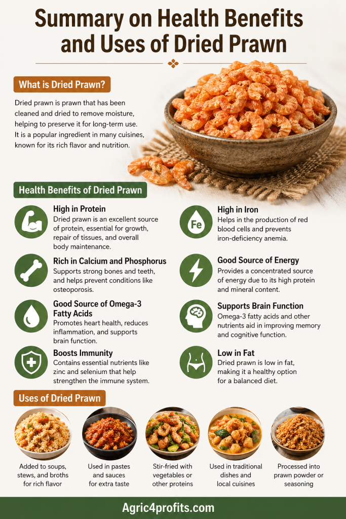 Health Benefits and Uses of Dried Prawn