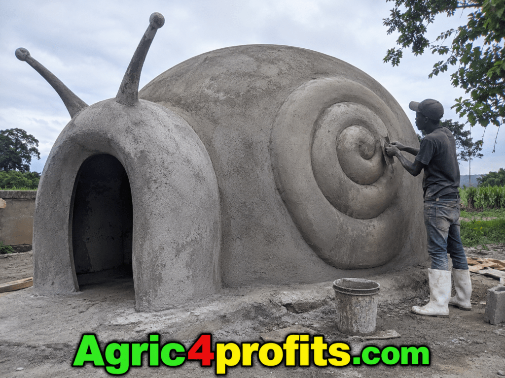 6 Processes Involved in Successful Snail Farming Business - Agric4Profits