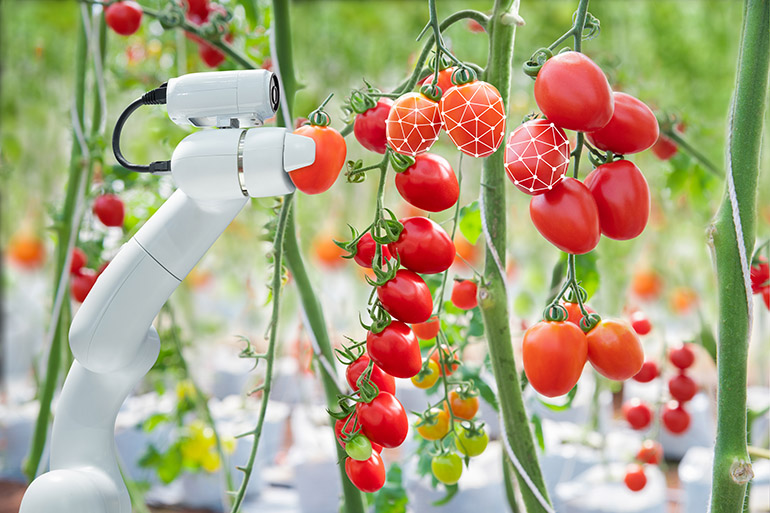 What is Precision Agriculture? Simple Guide for African Smallholders
