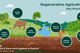 Regenerative Agriculture Explained: Profit with Soil Health