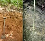 Soil Profile Characteristics in Nigerian Agriculture