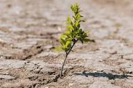 Composition and Characteristics of Nigerian Soils