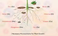 Availability of Zinc, Copper, Chlorine, and Sodium in Agricultural Soils