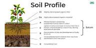 Soil Profile Characteristics in Nigerian Agriculture