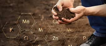 Factors Influencing Soil Nutrient Availability for Crop Production Factors Influencing Soil Nutrient Availability for Crop Production