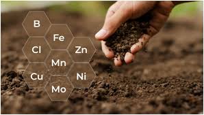 Factors Influencing Soil Nutrient Availability for Crop Production Factors Influencing Soil Nutrient Availability for Crop Production
