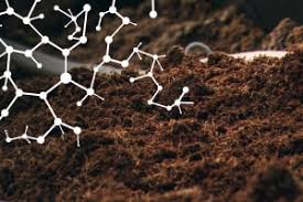 Soil Chemical Properties in Agricultural Systems