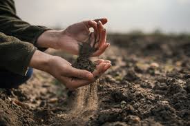 Soil Chemical Properties in Agricultural Systems Soil Chemical Properties in Agricultural Systems