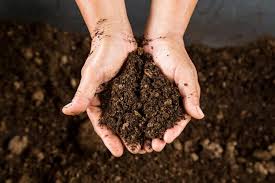Soil Chemical Properties in Agricultural Systems Soil Chemical Properties in Agricultural Systems
