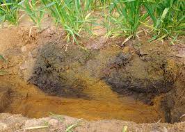 Soil Reaction and Lime Requirement in Agricultural Systems Soil Reaction and Lime Requirement in Agricultural Systems