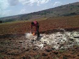 Soil Reaction and Lime Requirement in Agricultural Systems Soil Reaction and Lime Requirement in Agricultural Systems