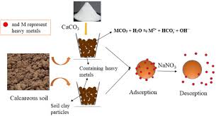 Adsorption and Desorption in Agricultural Soil Systems